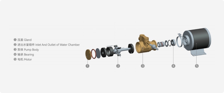 Sealed vane pump structure with vane rotor assembly and isolated shaft sealing design for chemical fluid transfer