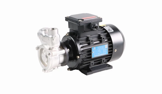 industrial vortex pump 2