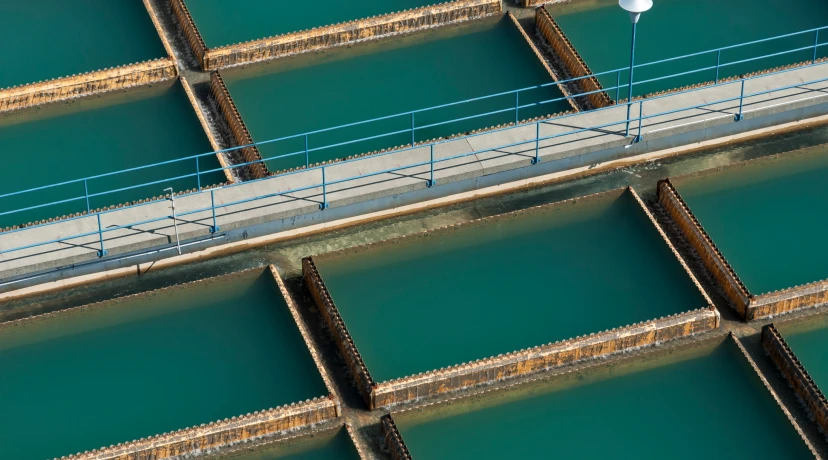 Pumps for Indian Pharmaceutical Manufacturing: A Selection Guide for API Synthesis, Solvent Transfer, and cGMP-Compliant Loops