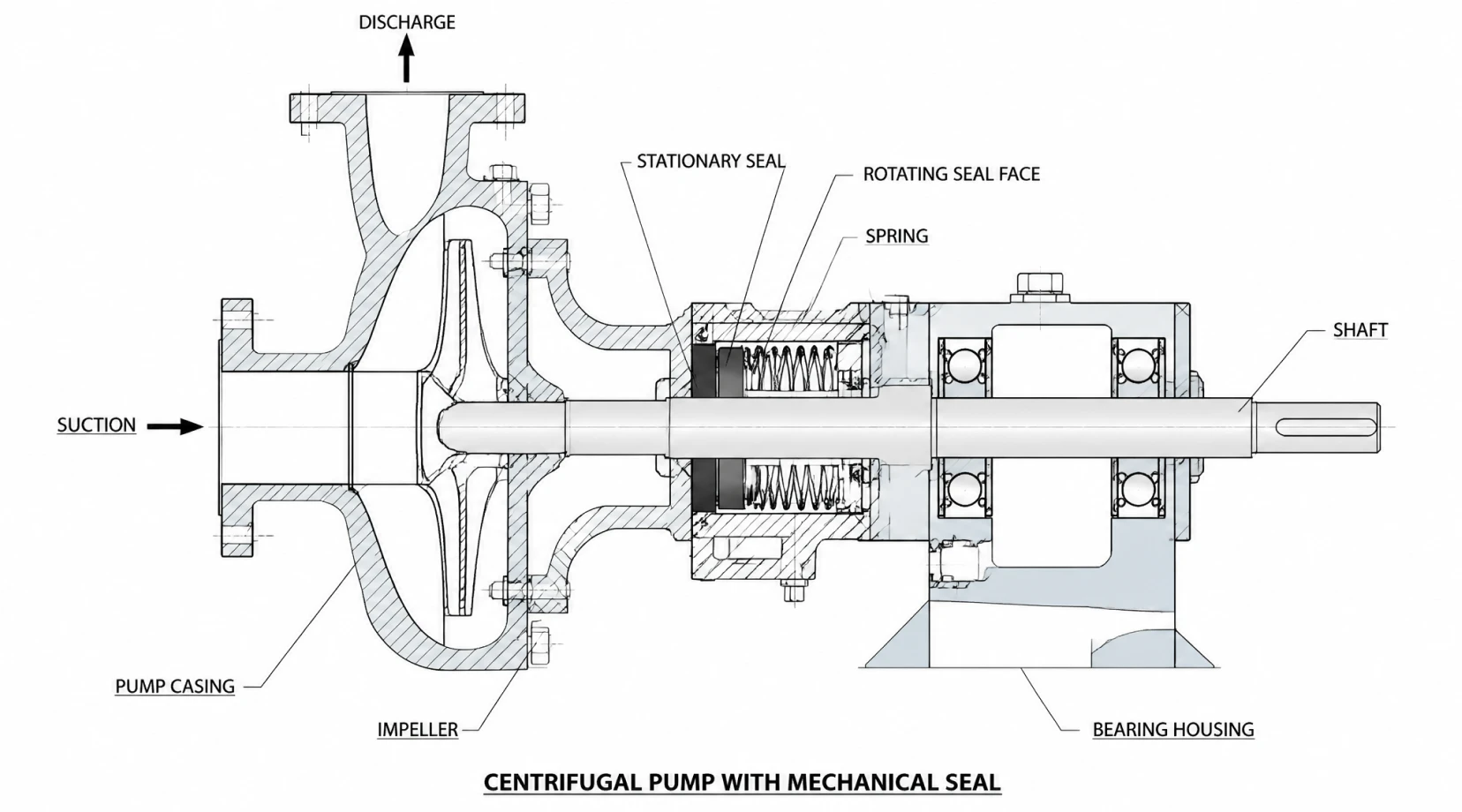 Cross-section of a mechanical seal pump showing the shaft passing through the casing and the rotating and stationary seal faces